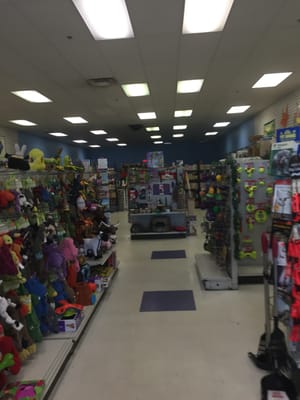 Paw Planet of Northbridge -- 1167 Providence Road / Route 122A, Northbridge          Interior