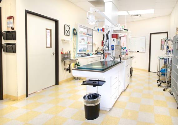 Our fully appointed Treatment Area allows us to practice the very best medicine in Boulder!