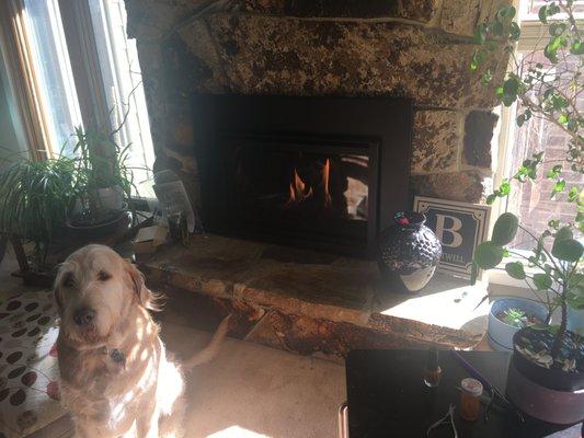 Joey loves how warm the fireplace keeps his house!