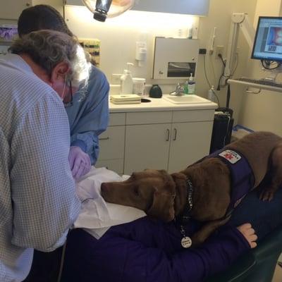 It's always a great day at the office when Saxon, a service dog, and his owner come in.