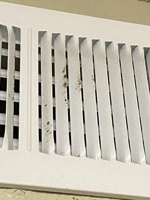 Mold in A/C Unit