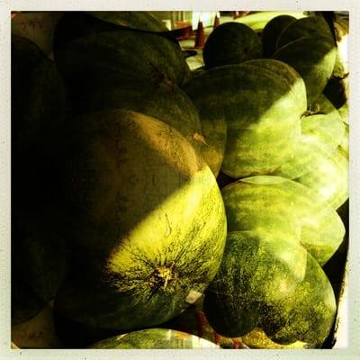 Bogue Sound has excellent watermelons.