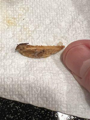 Large shard of chicken bone I discovered when I bit into it.