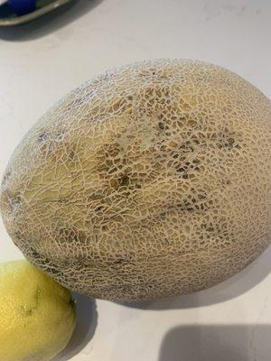 Rotting cantaloupe and dried out lemons from my last pick up order! Inedible.