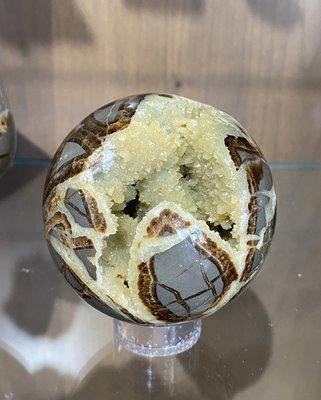 Septarian Nodule from Utah