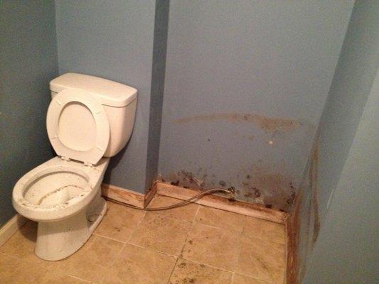 Basement Bathroom that was flooded during a hot water tank eruption.