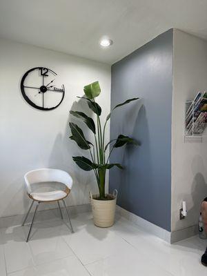 I want this plant at my house! Such a cute waiting area