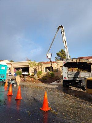 James A Cary Tree Service