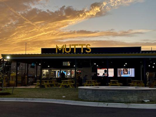 Golden Hour at Mutts