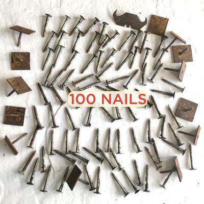 100 nails found in my yard