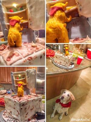 Bday cake Honeybee did inspired after my yellow lab raided our fridge on video and went viral.