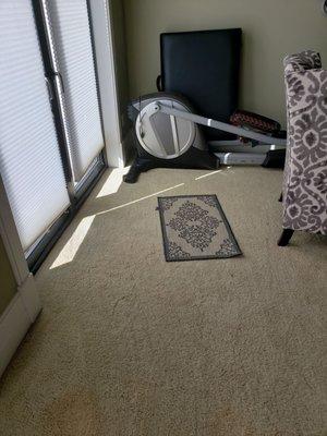 Did not bother to move rug/mat out of the way. Just vacuumed around it.