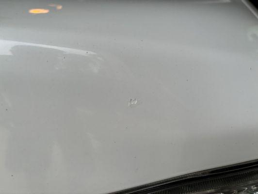 How they fixed the chipped paint. Literally looks like they used white out