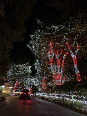 WOW! Giant Trees with Millions of Lights Synched to Christmas Music @ Six Flags Magic Mountain in Valencia Christmas 2020