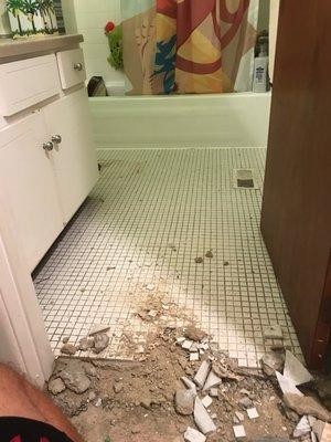 Tile Floor Demo