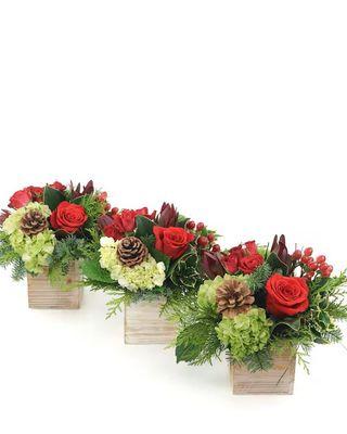 Holiday Trio-Three adorable, matching arrangements are designed in 4x4 wooden boxes--use them as a centerpiece spread down the table.