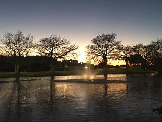 New fountains in the lake!