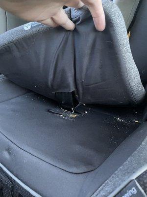 Crumbs not vacuumed from car seat