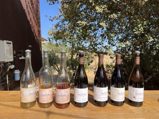 10/9/2021 natural wines