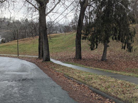 Murray Hill Park, Asheville