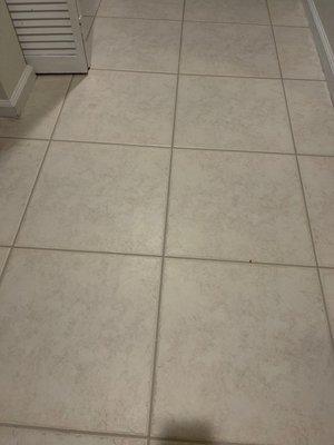 Tile after being cleaned and grout sealed.