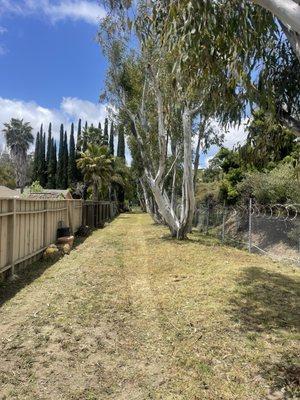 Clean Up of Overgrowth Weeds behind Storage