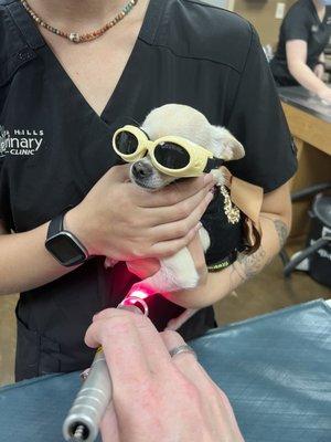 Patient receiving therapy laser treatment.