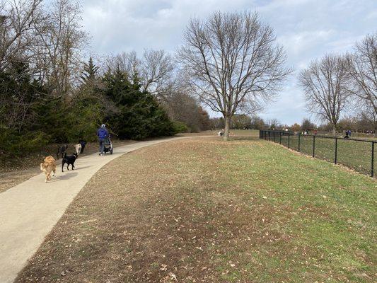 Wooded area and trails at dog park area