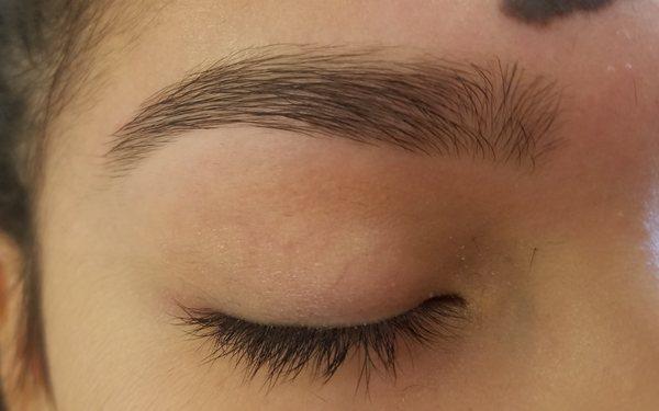 Small eyebrow cleanup for a high school student