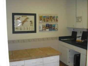 One of our exam rooms at VCA Healthy PAWS Medical Center