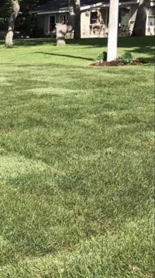 Westlake Sod LLC