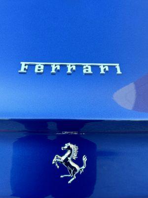 Ppf on this beautiful ferrari