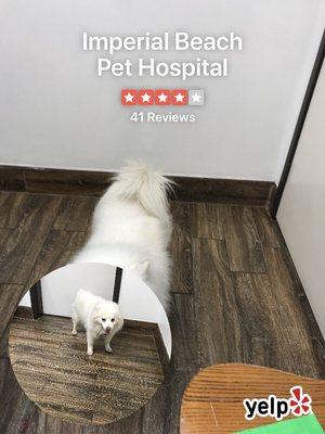 Imperial Beach Pet Hospital & Urgent Care