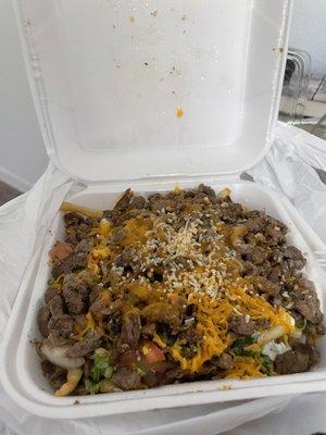 Carne asada fries