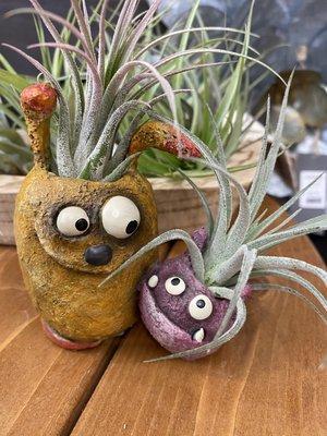 Blob planters and air plants!