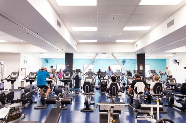 Wellness Floor. Complete set of exercise machines.