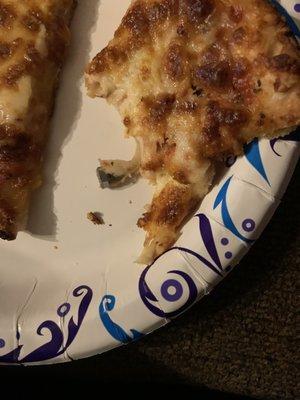 A bolt in my pizza very disgusting and unprofessional