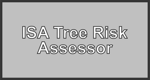 Tree risk assessors use a systematic and standardized approach to assigning a level of risk to your prized trees.