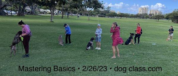 GSPs, Weim, GSD, and Shiba Inu.
dogclass.com