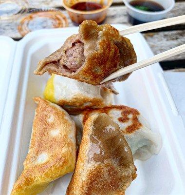 Beef Dumplings