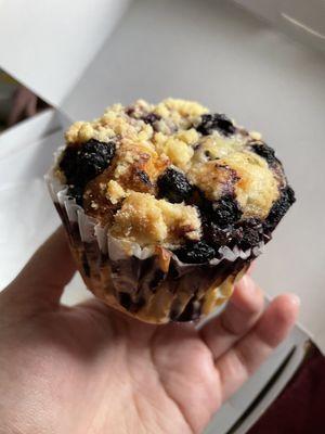 Blueberry muffin