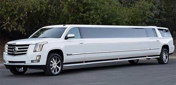 2018 Escalade 18 Passenger