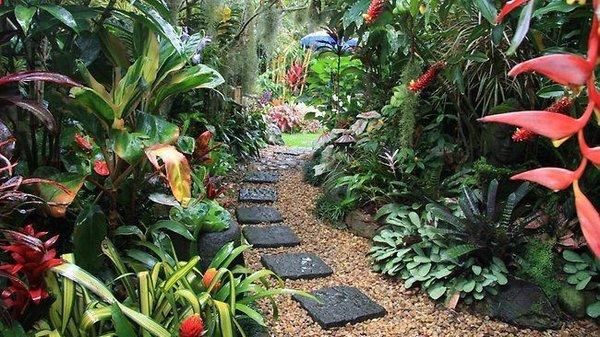 Lush backyard walkway