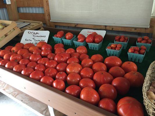 Local Tomatoes!