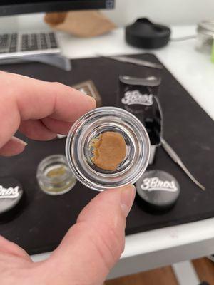 GMO "Live" Rosin