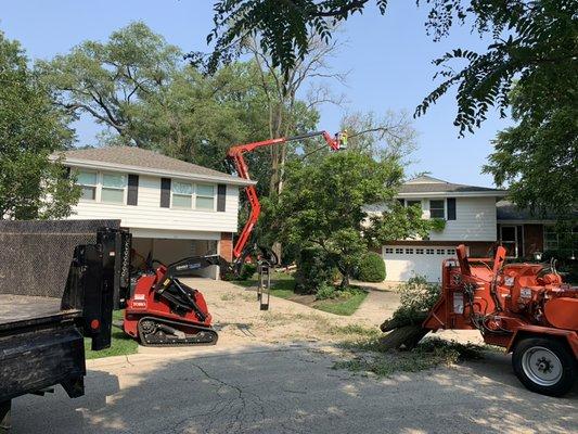 Adding newest equipment and continuous safety training allowing D Arbor Masters to provide PROFESIONAL tree services to our customers