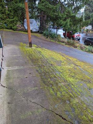 Mossy drive way