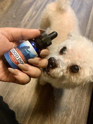 My dog approved this  it actually helped him with anxiety. I'm hoping it will help him with aggression before grooming.