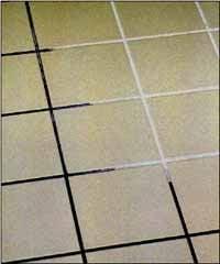 Tile Cleaning