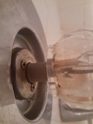 Close up of shower nob indicating mold growth inside handle!